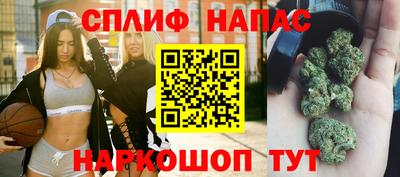 гидра Краснознаменск