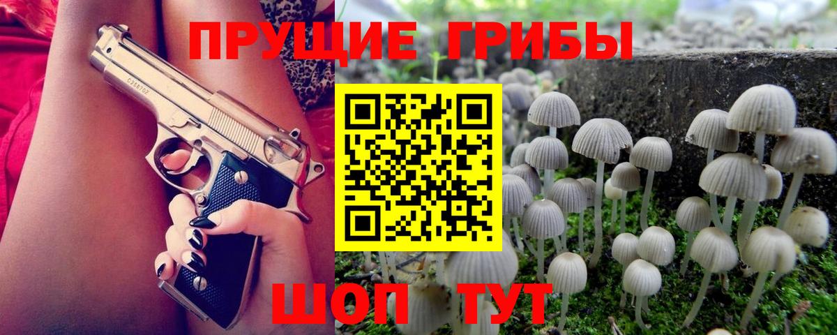 Комсомольск-на-Амуре  Галлюциногенные грибы Psilocybe  Вход с VPN  Псилоцибиновые грибы Psilocybine cubensis 