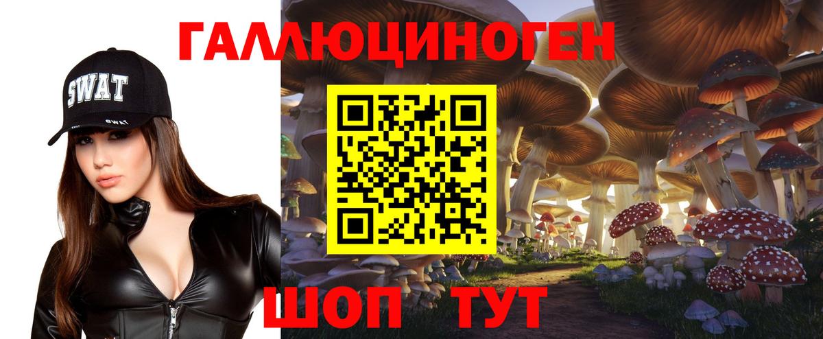 Галлюциногенные грибы Psilocybine cubensis Комсомольск-на-Амуре